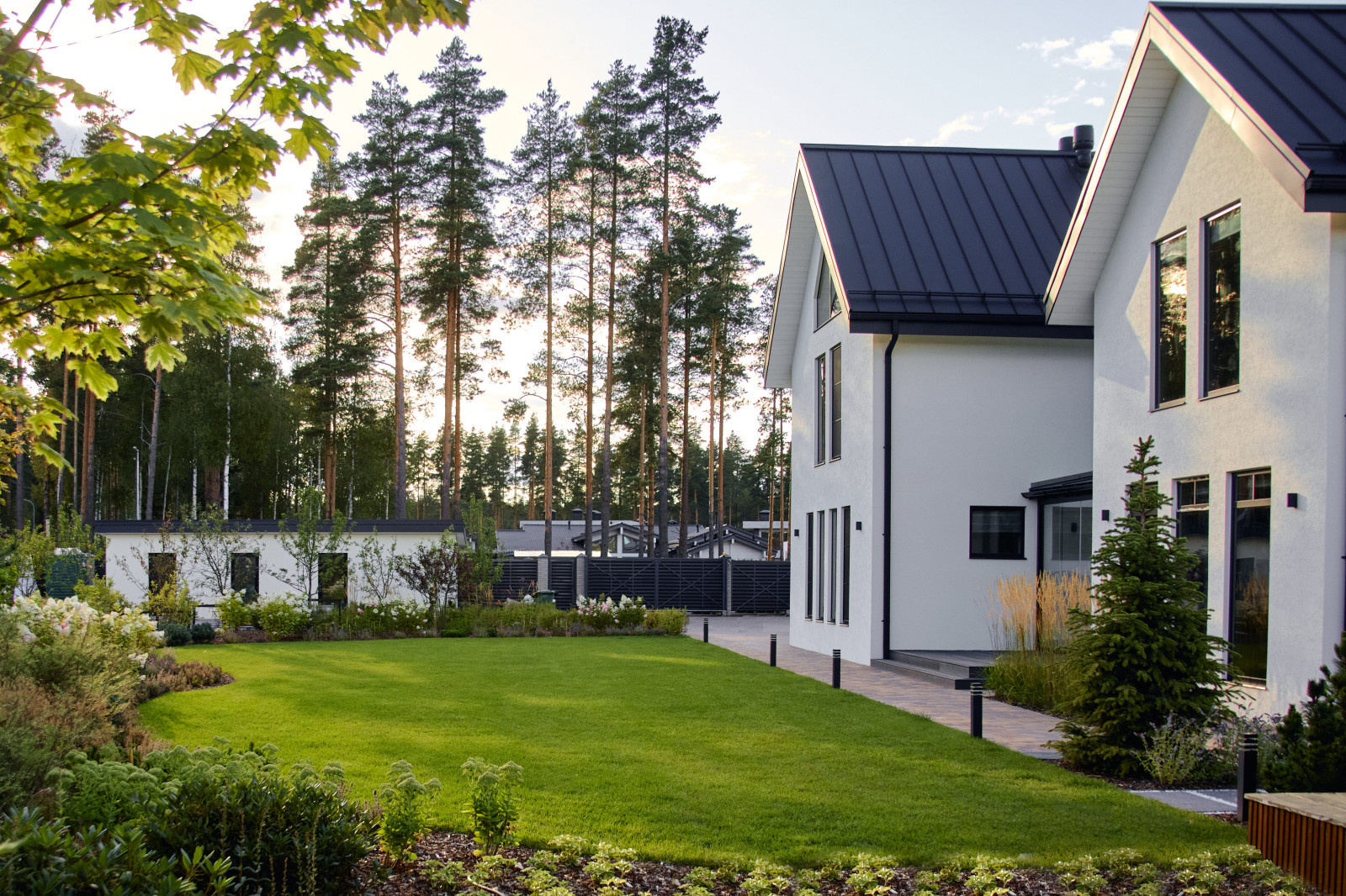 Репино Парк