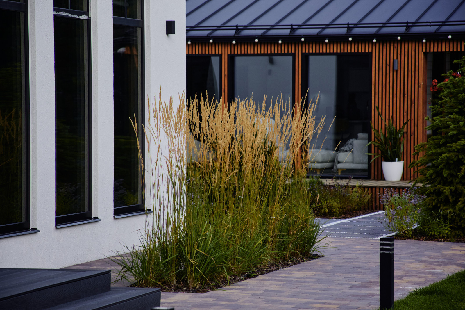 Репино Парк