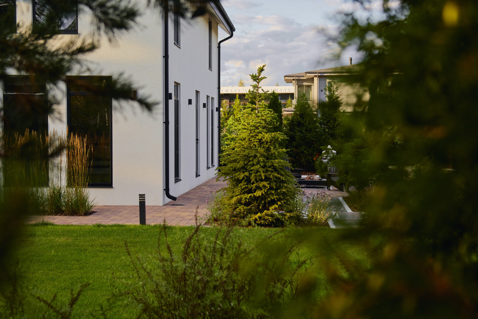 Репино Парк