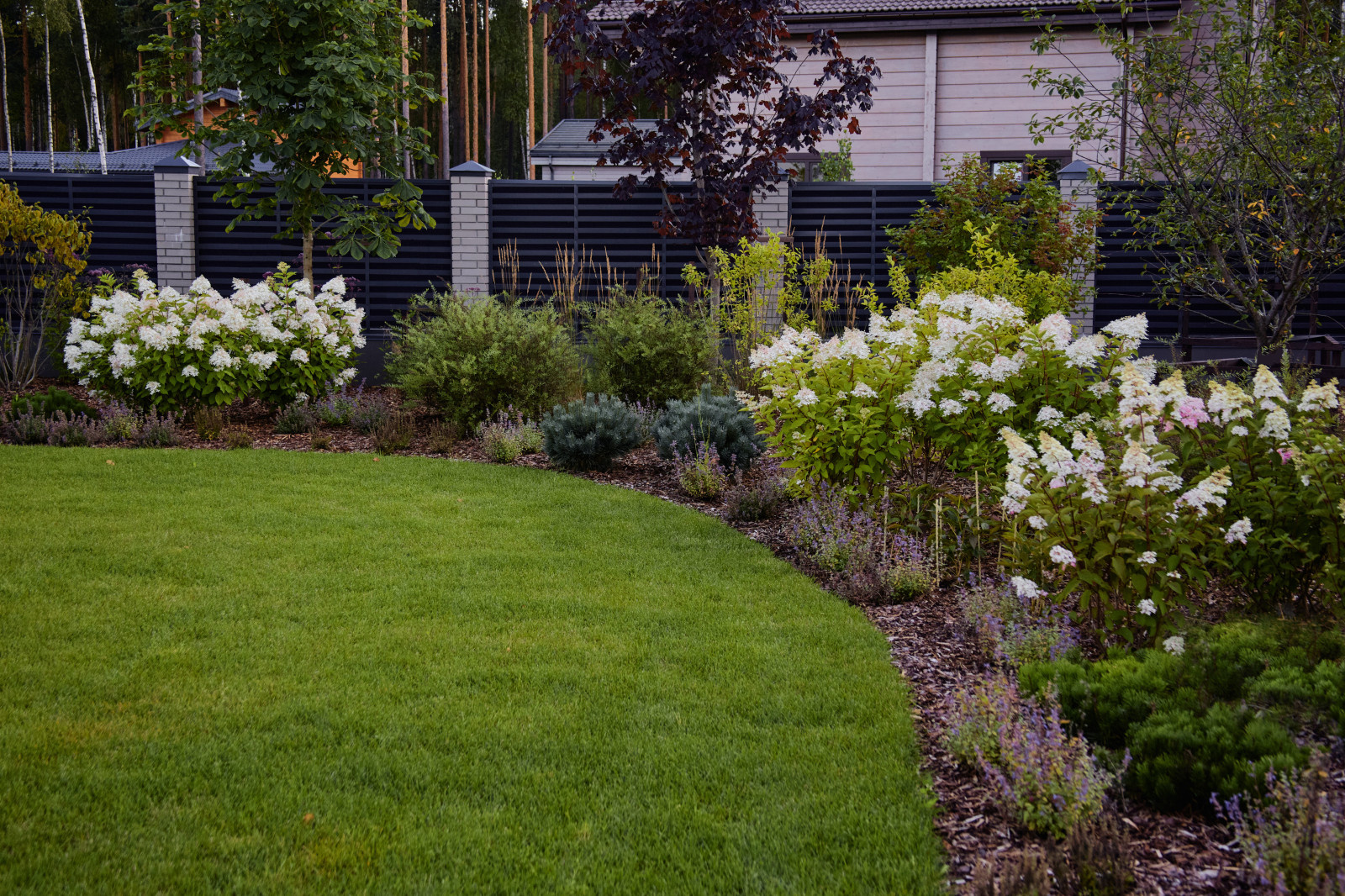 Репино Парк