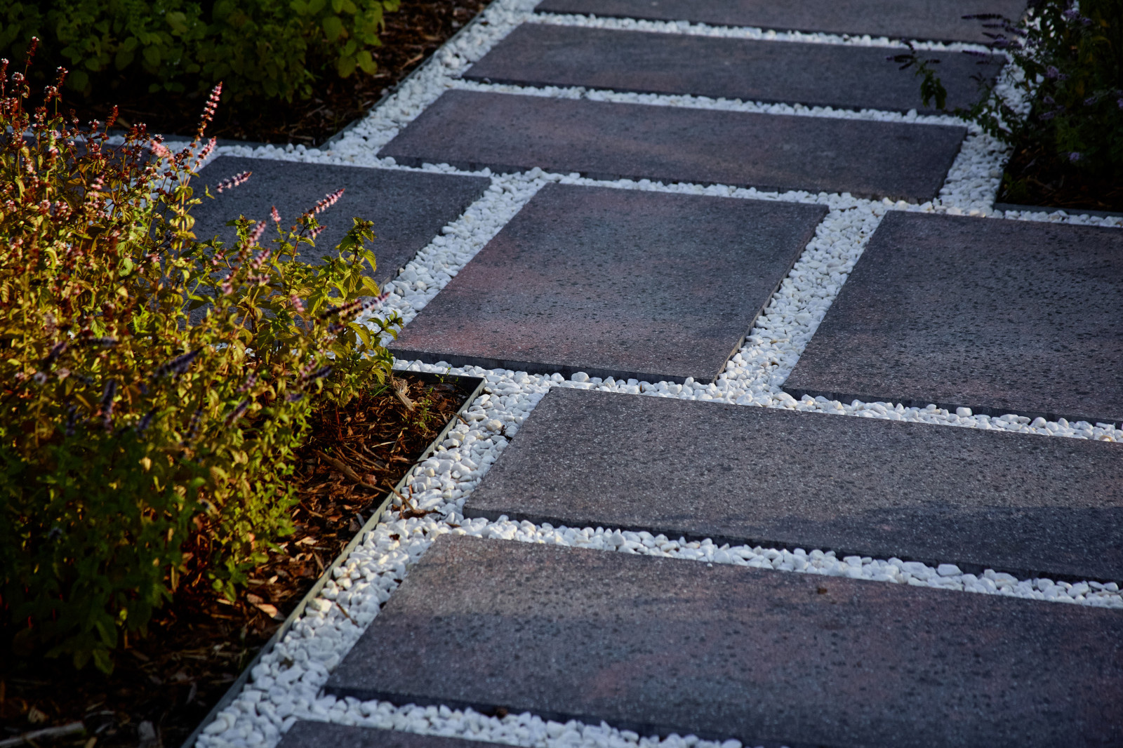 Репино Парк