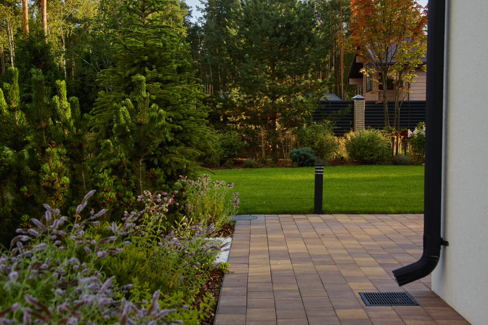 Репино Парк