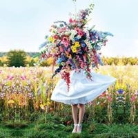 Зарема Алипашаева