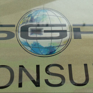SGP consult