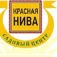 Иванова Елена Валентиновна