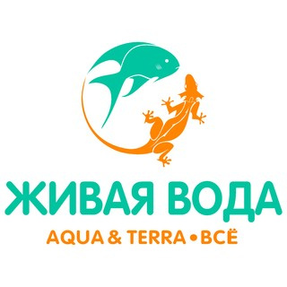 Мудриченко Дмитрий