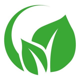 Green Wood lab