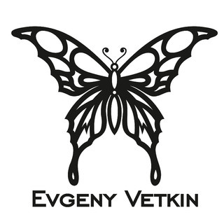 Evgeny Vetkin