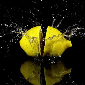 Lemon Design Studio