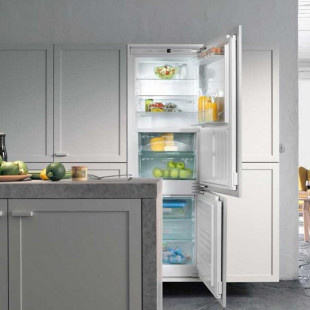 Miele Frost Service