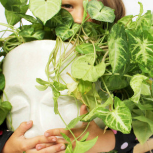 Planters Face