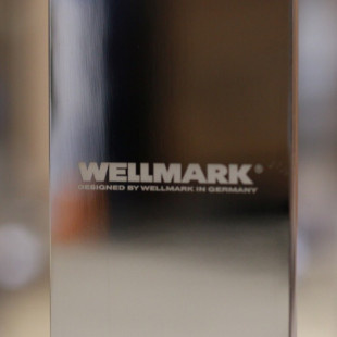 КОМПАНИЯ WELLMARK