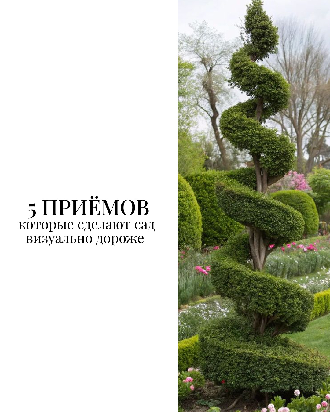 Обложка проекта: 5 приёмов, которые сделают сад визуально дороже