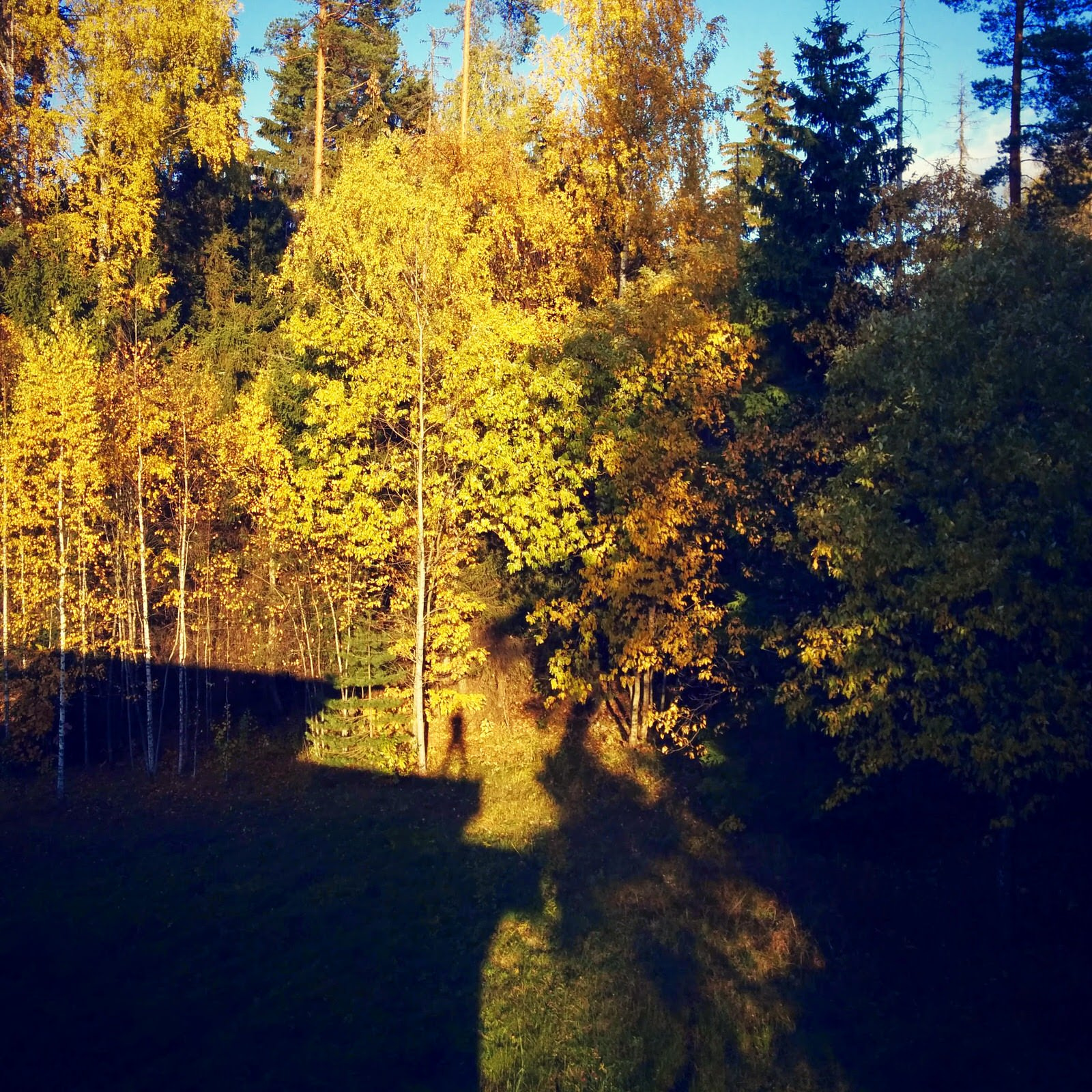 Lafte Hytte