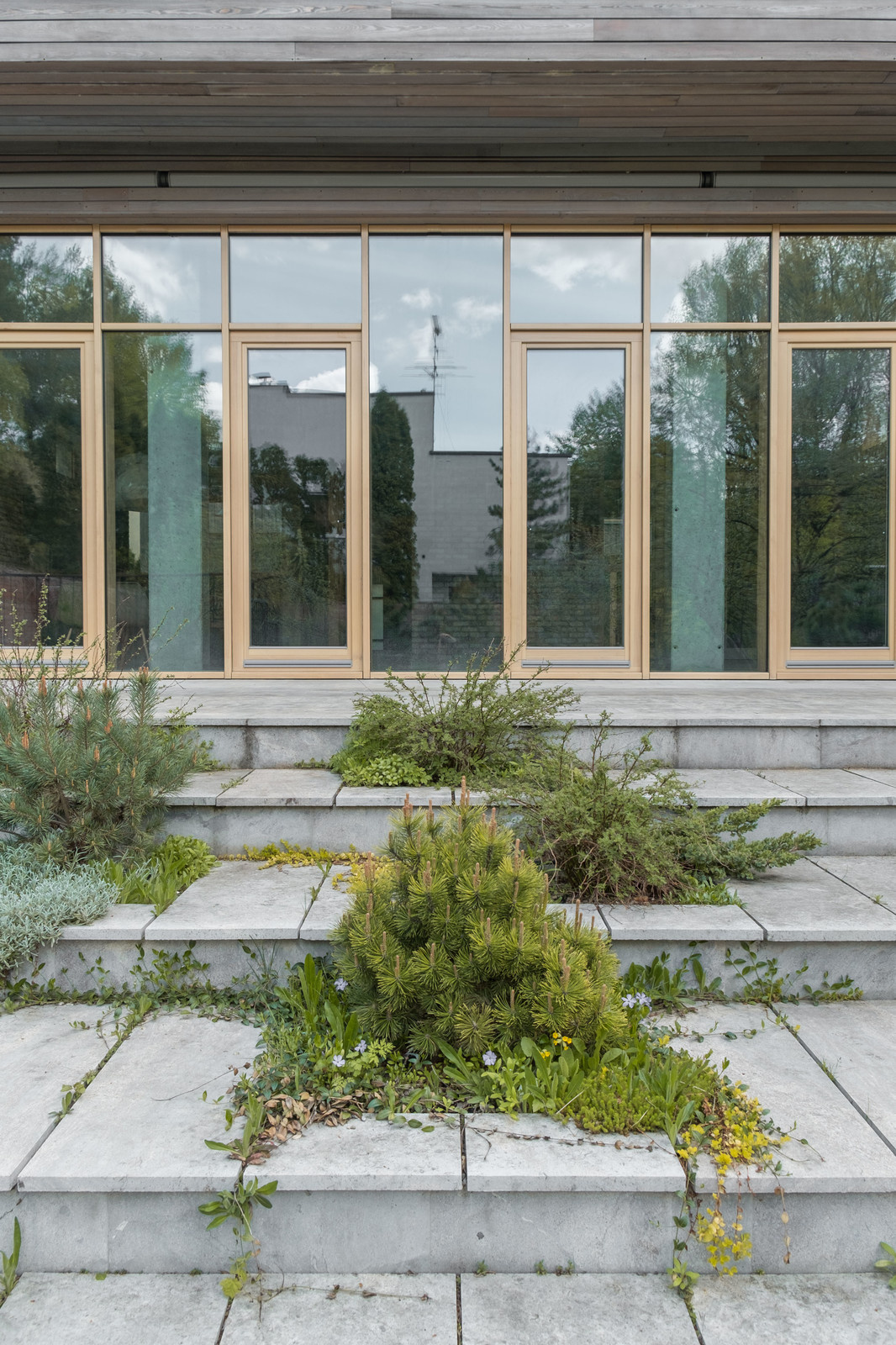DACHA. Проект Александра Бродского