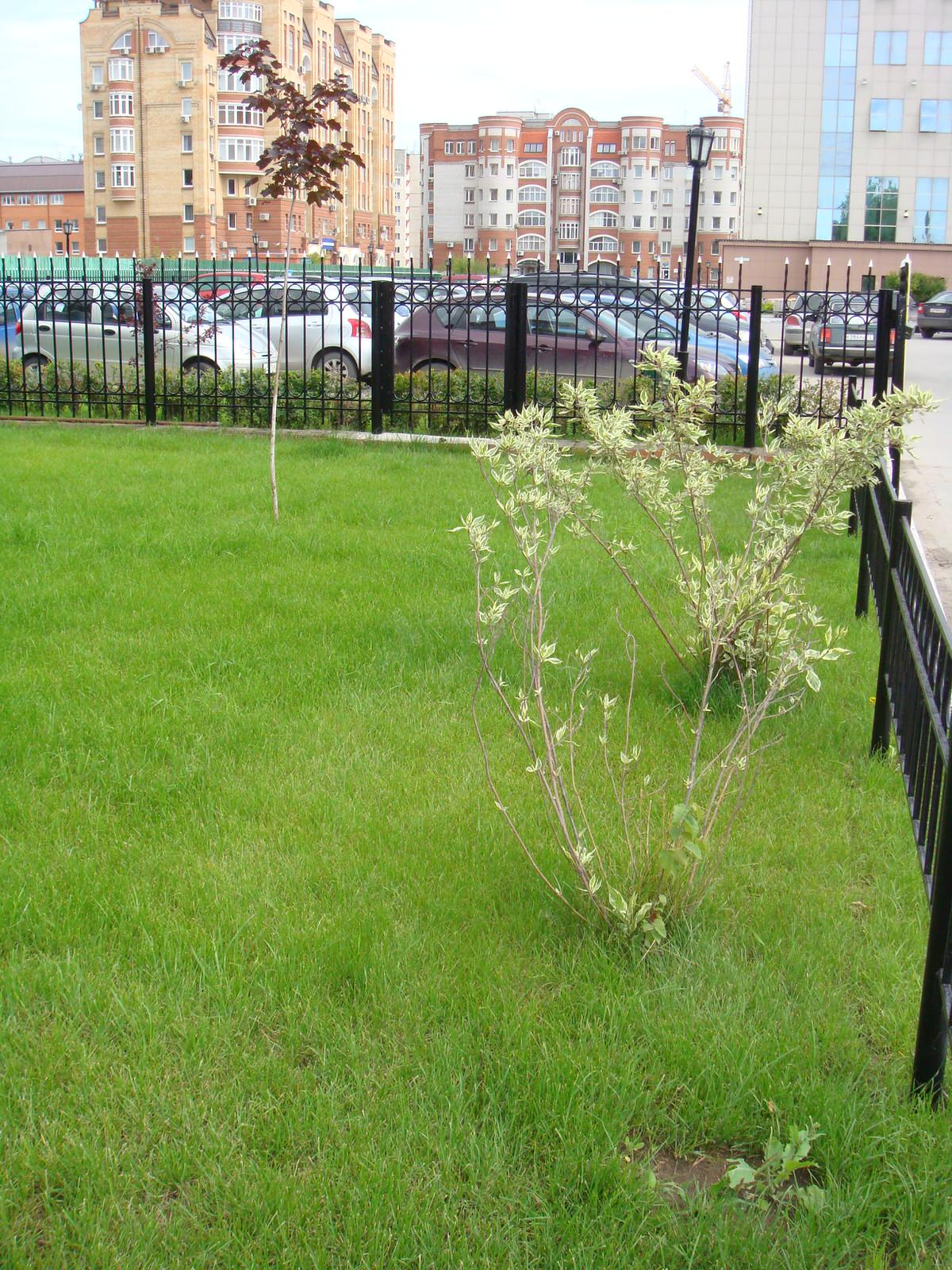 Сбербанк ул. Рижская
