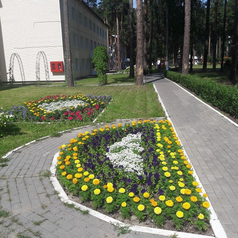 Санаторий "Красная гвоздика"
