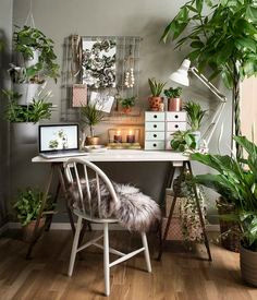 (217) Pinterest