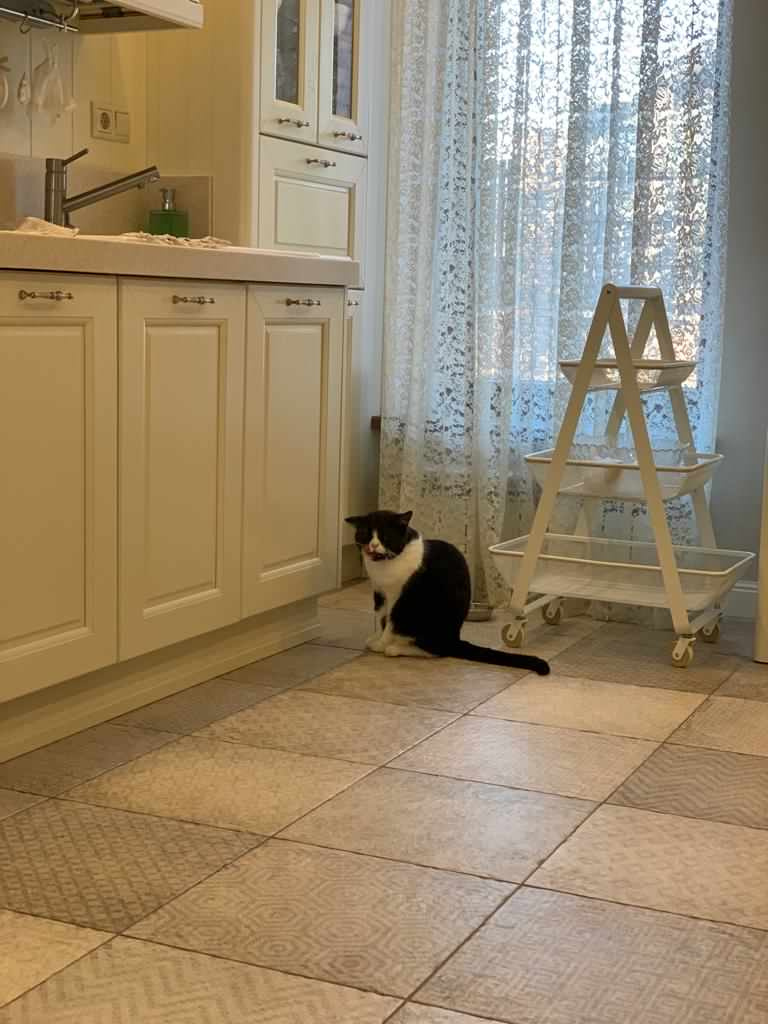 Дом мечты .