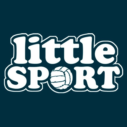LittleSport | Деревянные детские площадки
