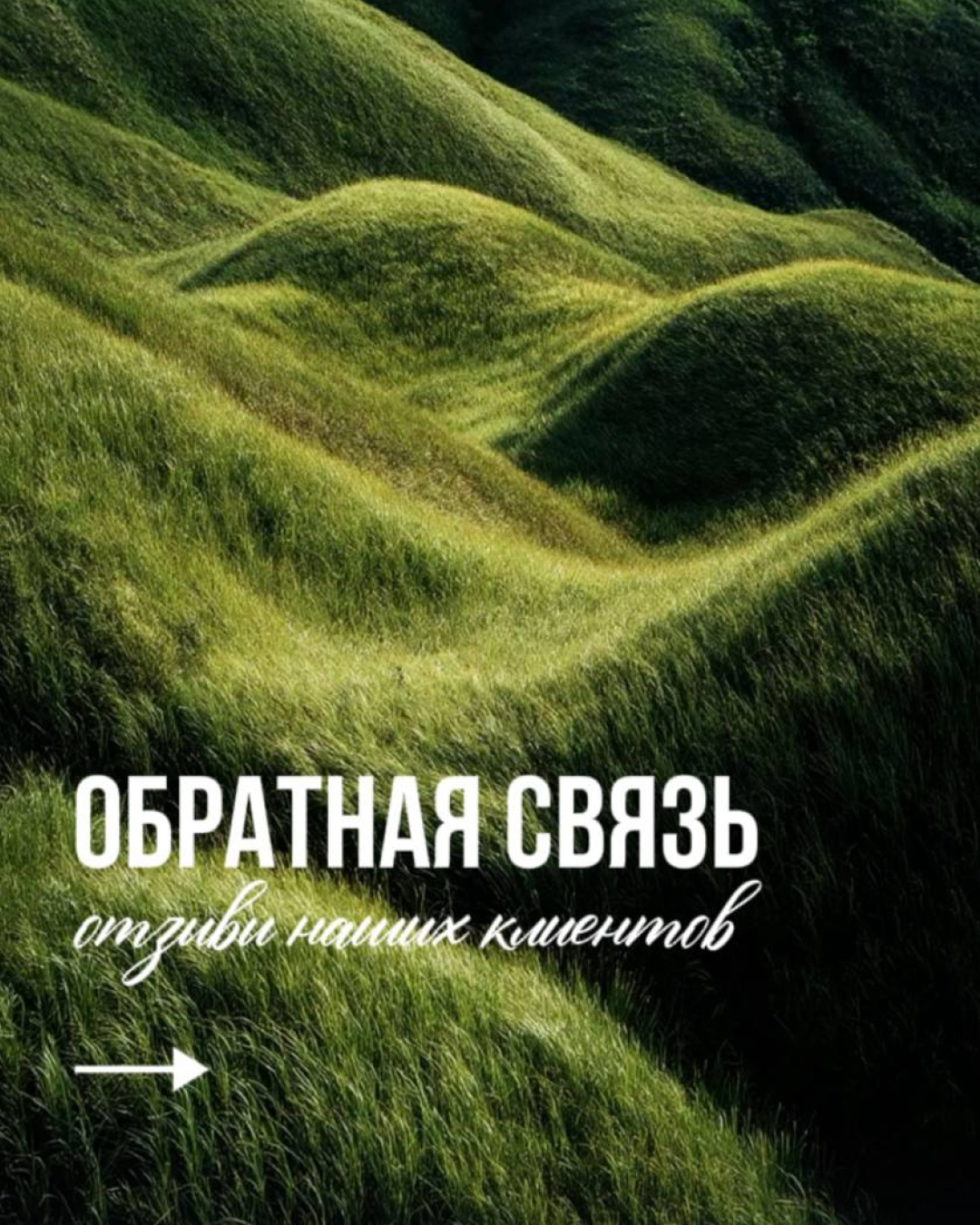 Обложка проекта: ОТЗЫВЫ НАШИХ КЛИЕНТОВ 