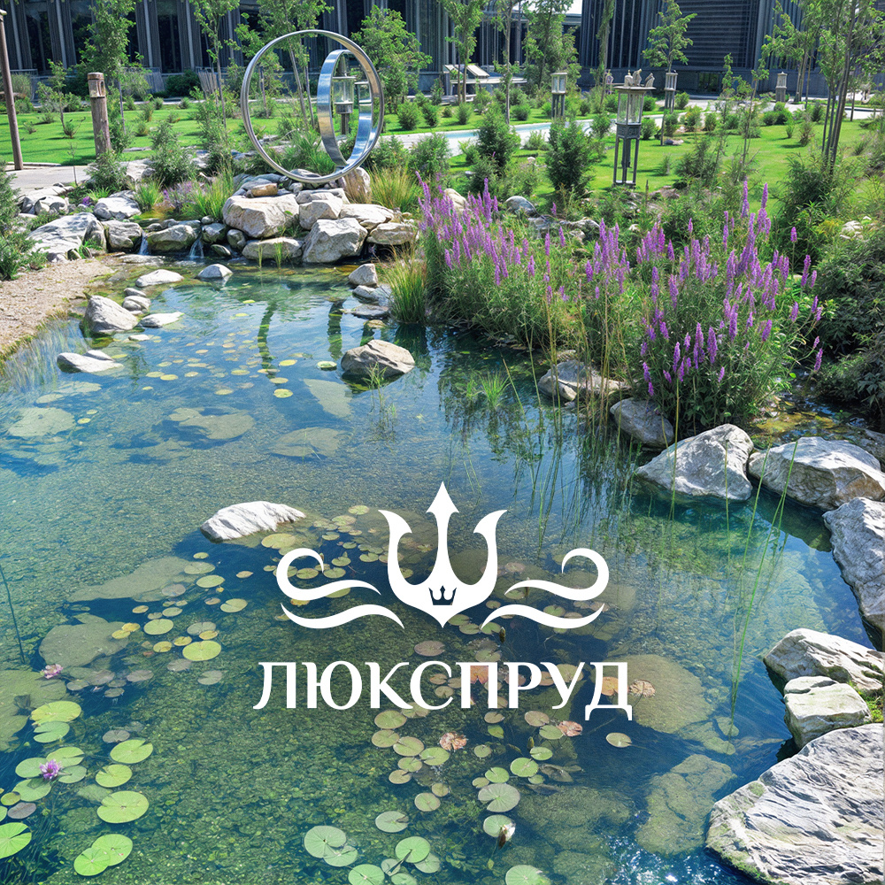 Обложка проекта: Пруд в парке "Патриот"