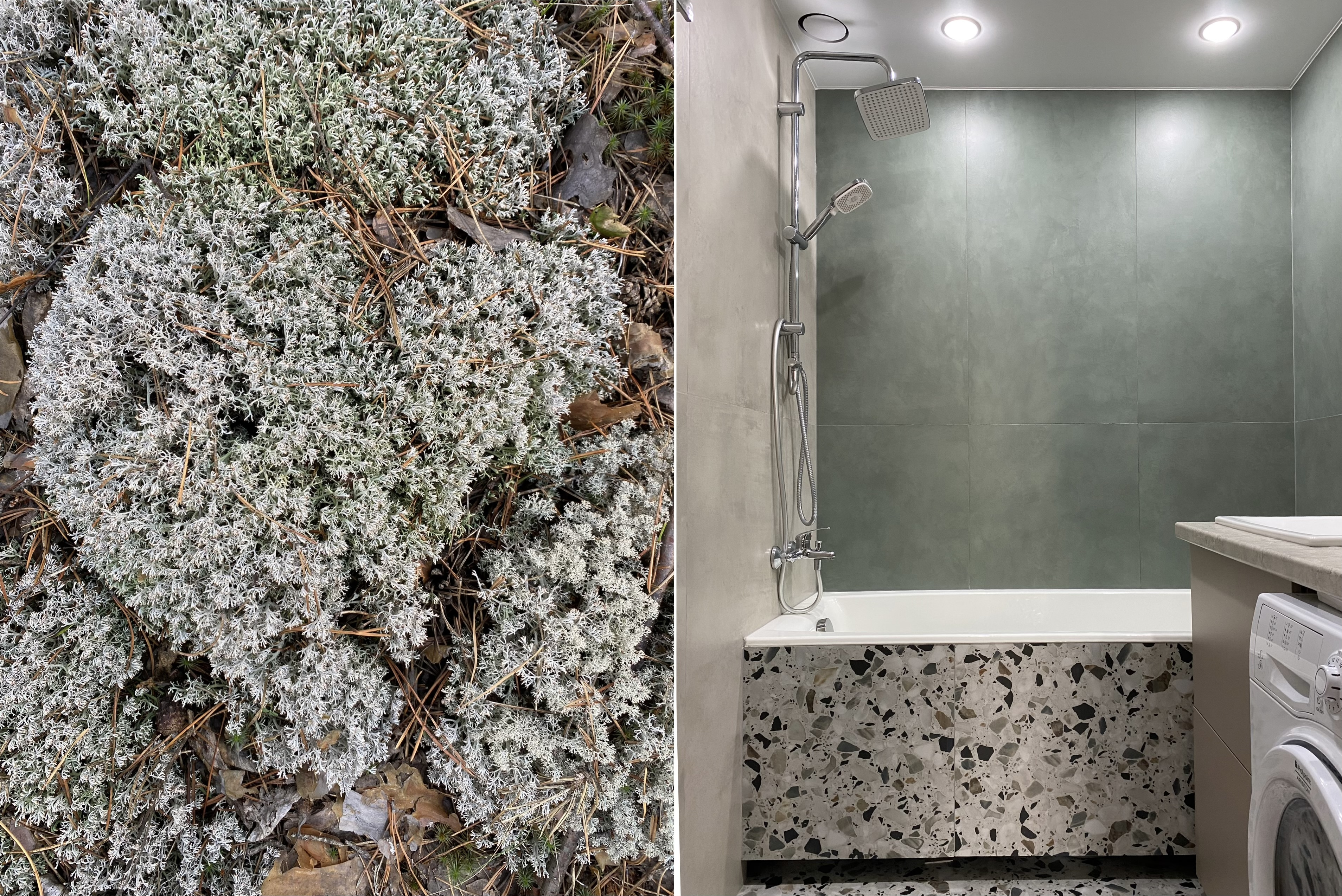 Обложка проекта: Трёхкомнатная квартира для семьи с двумя детьми