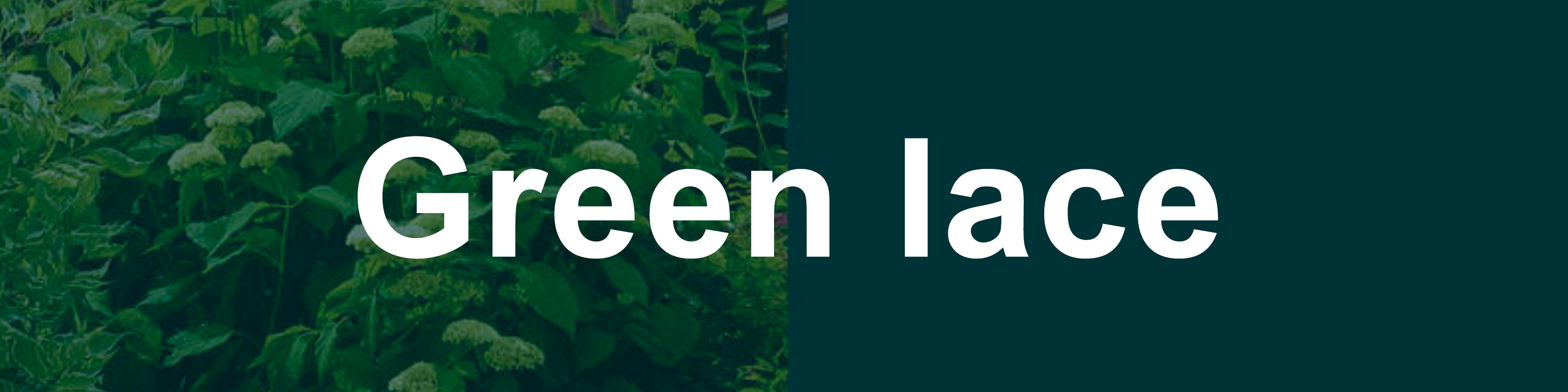 Наталия Ульянова и Светлана Рассадкина