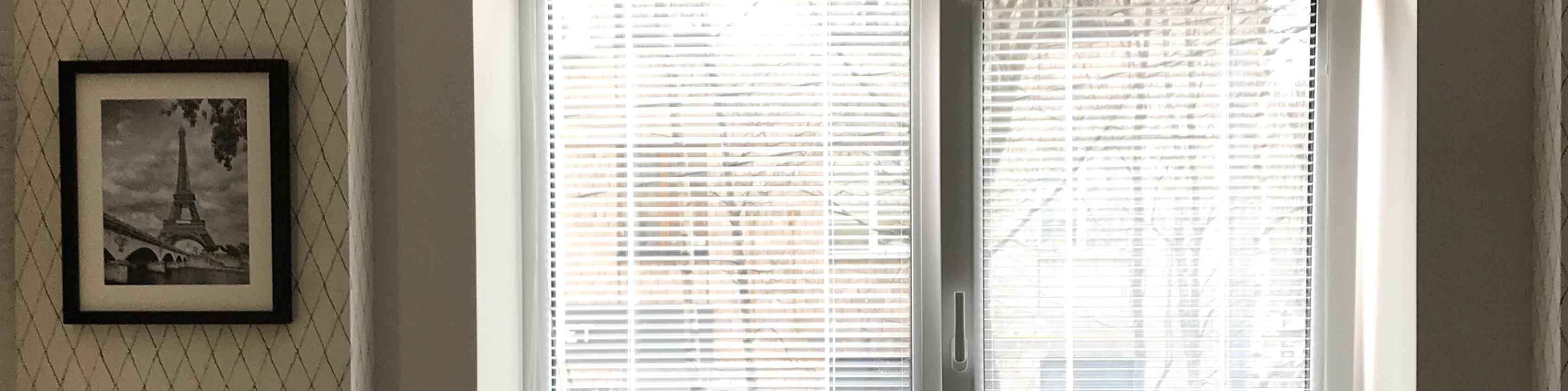 Фоновое изображение профиля Алла Гинзбург