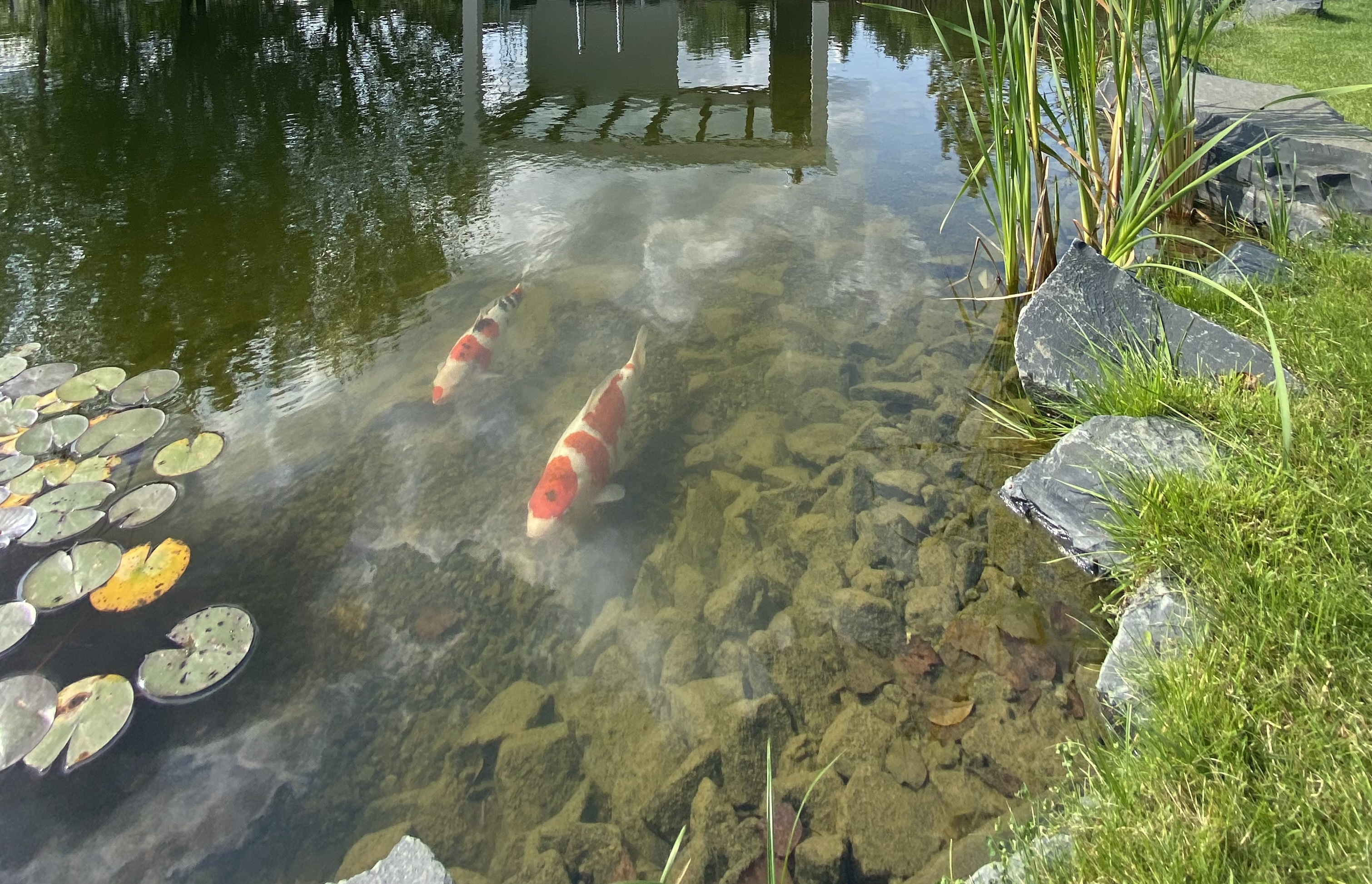 Современная беседка