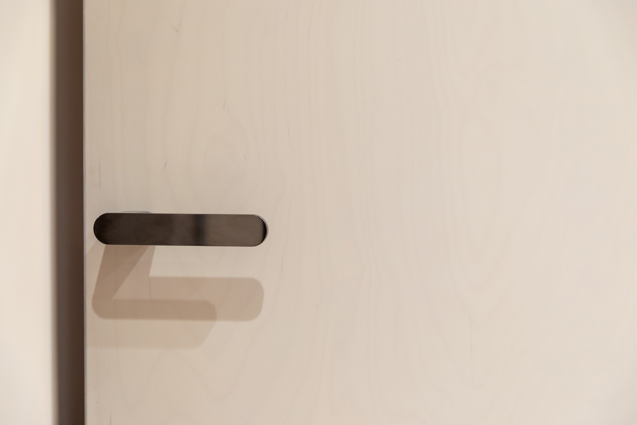 Двери в дом Honka