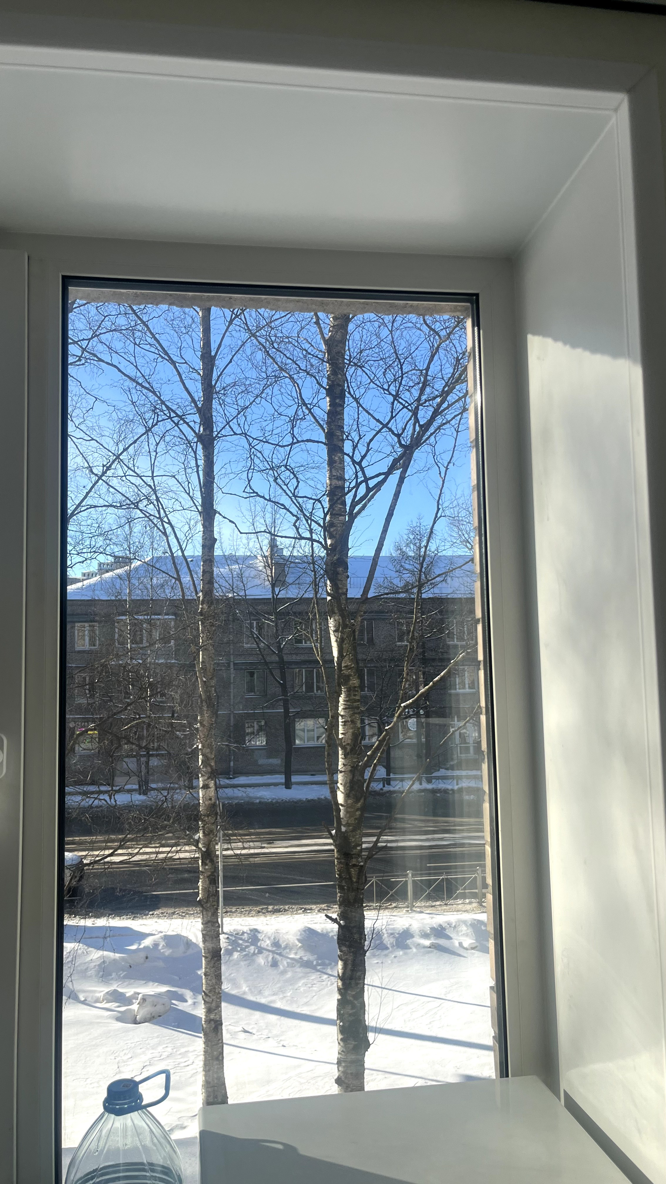 Тихорецкий Проспект