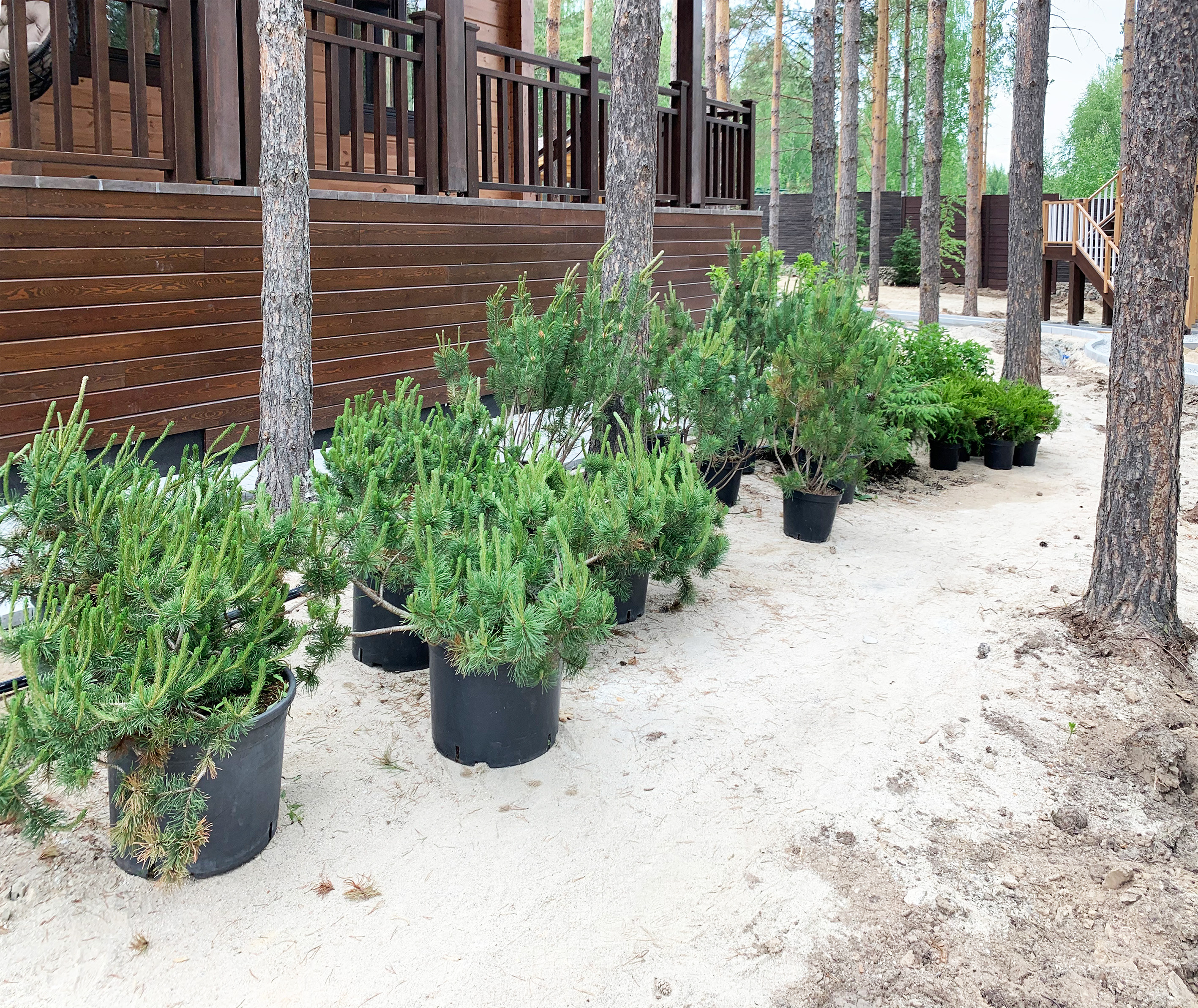 FOREST GARDEN в КП Дубрава