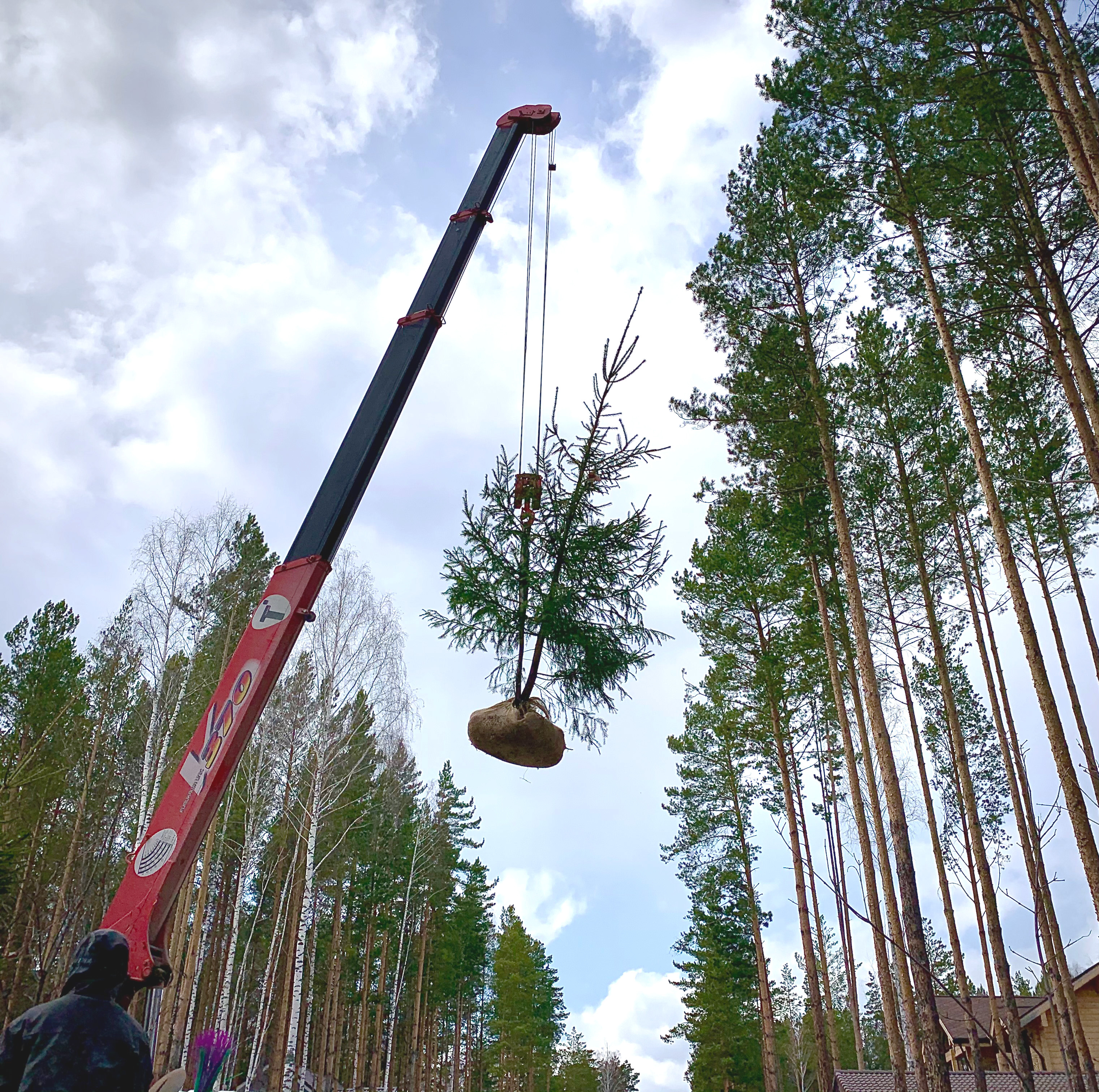 FOREST GARDEN в КП Дубрава