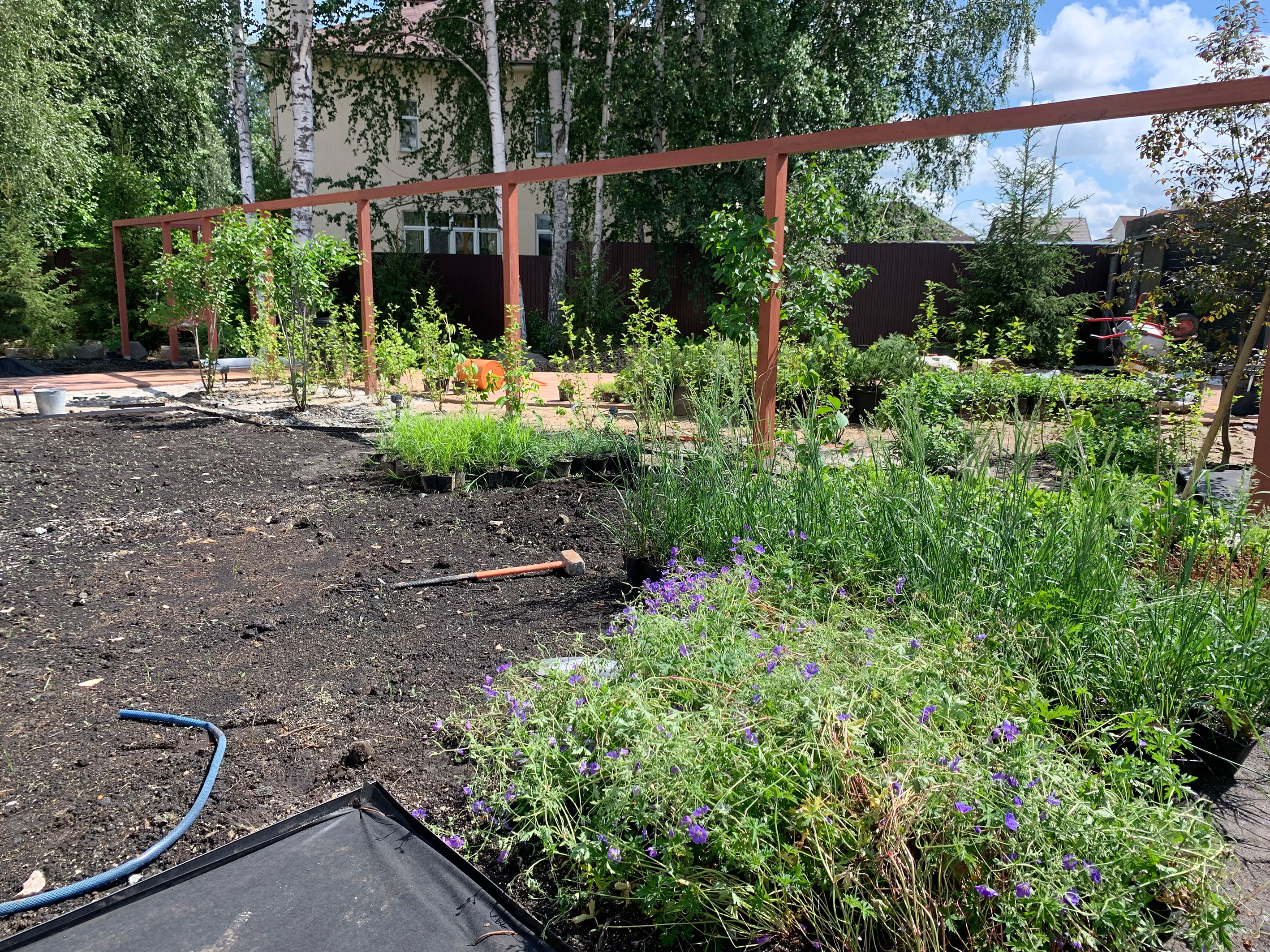 САД АРОМАТОВ в КП Палникс