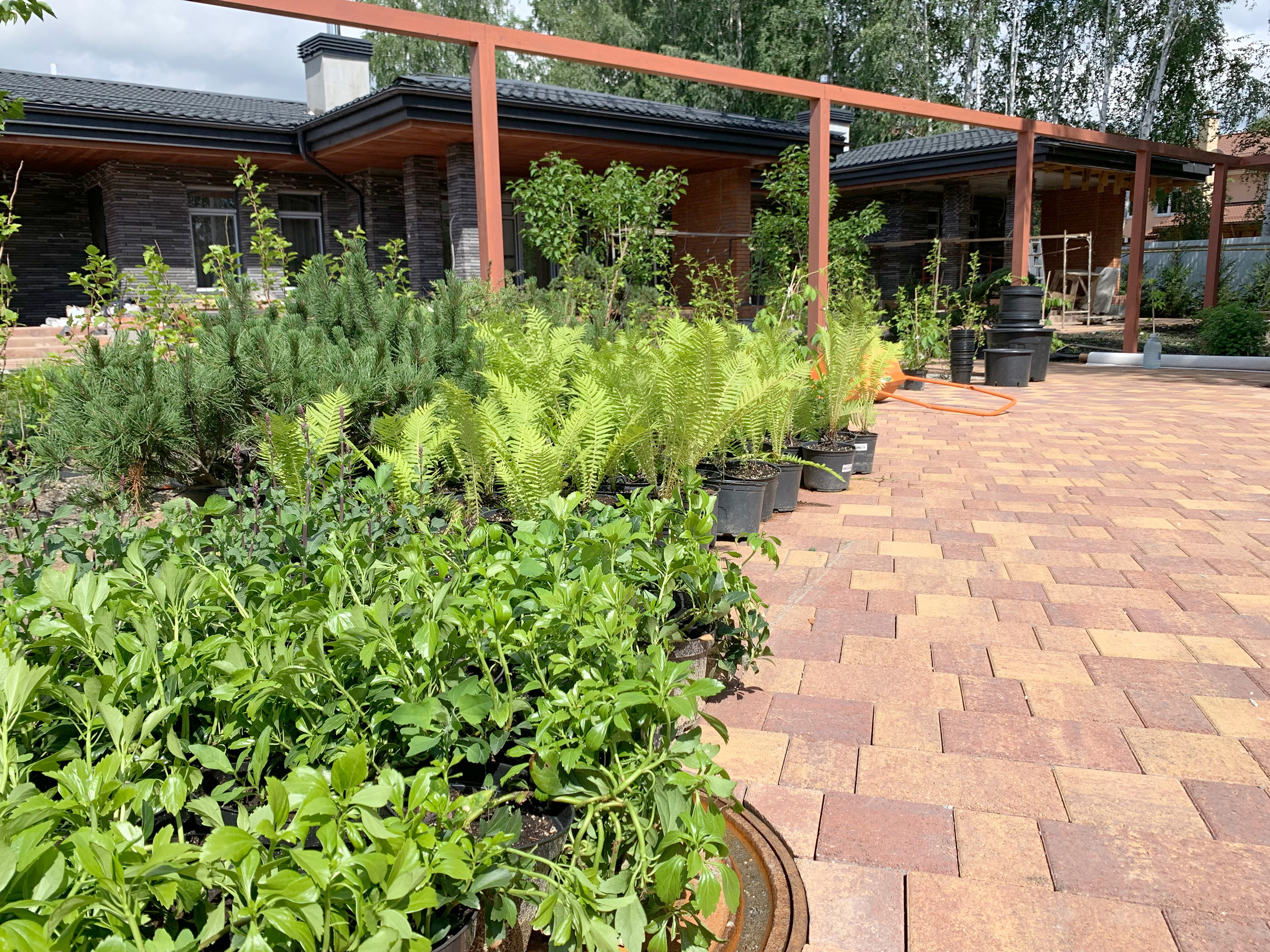 САД АРОМАТОВ в КП Палникс