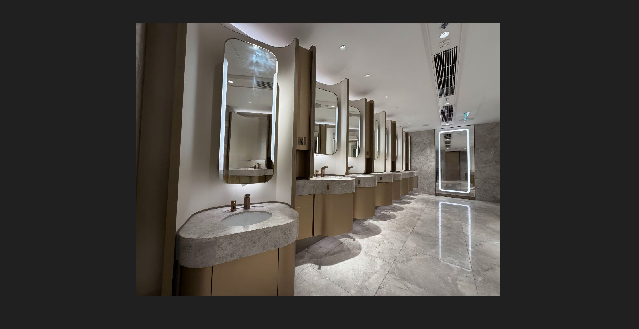 Обложка проекта: Санузел в коммерческом объекте