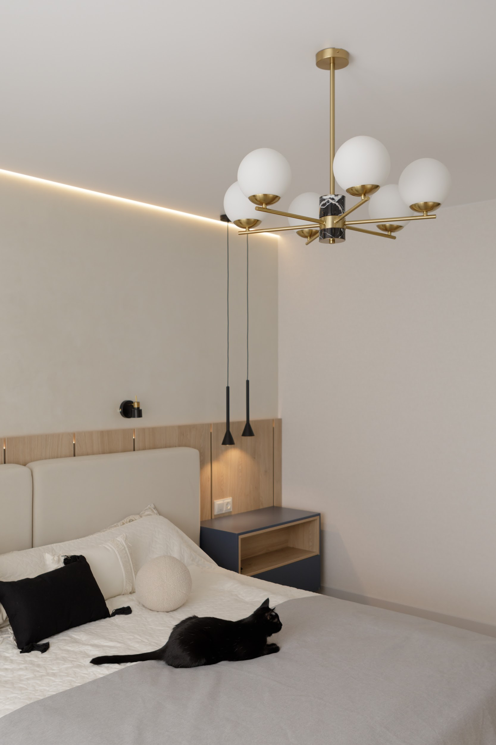 Новокиевская с черным котом