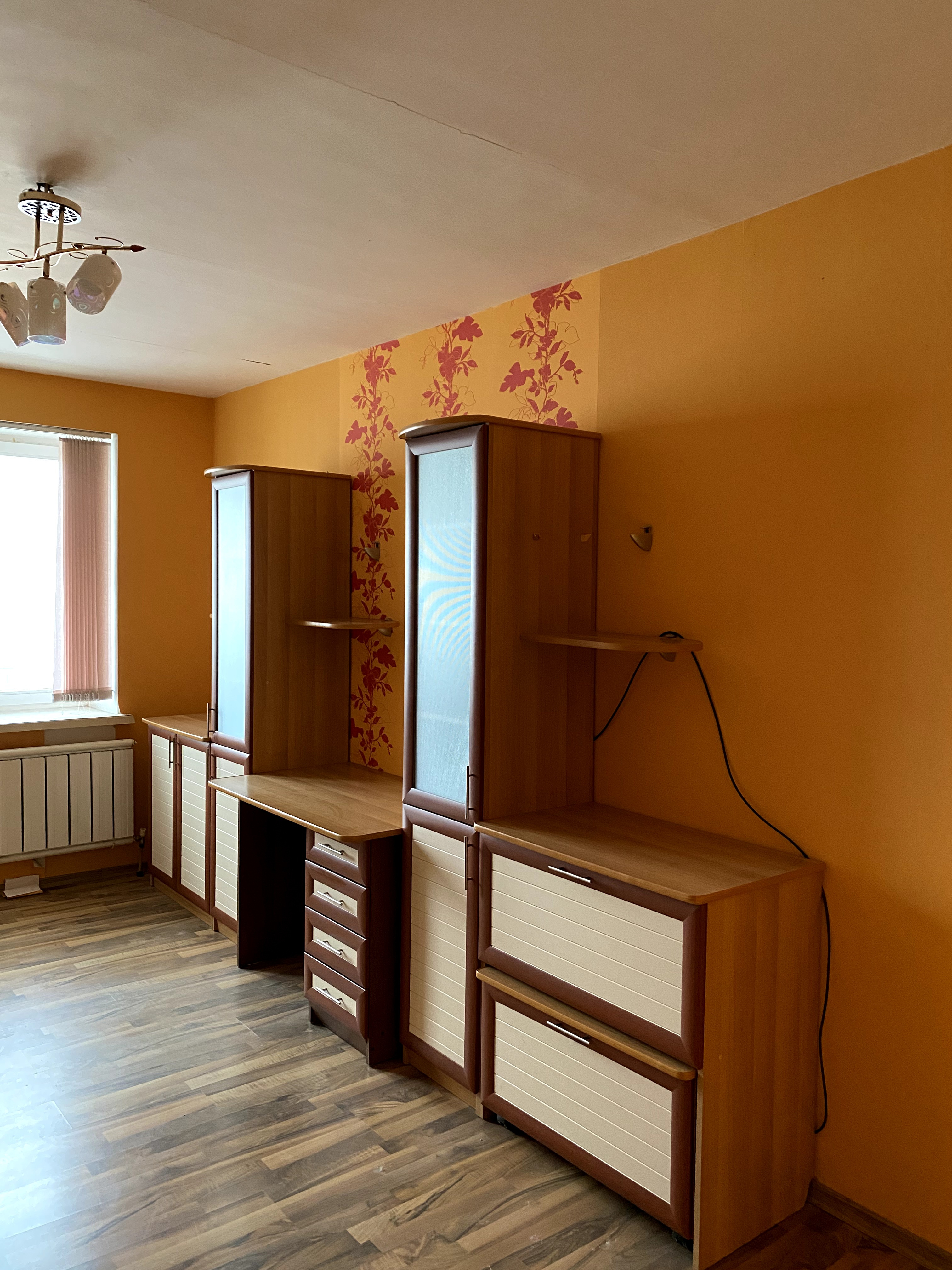 Новокиевская с черным котом