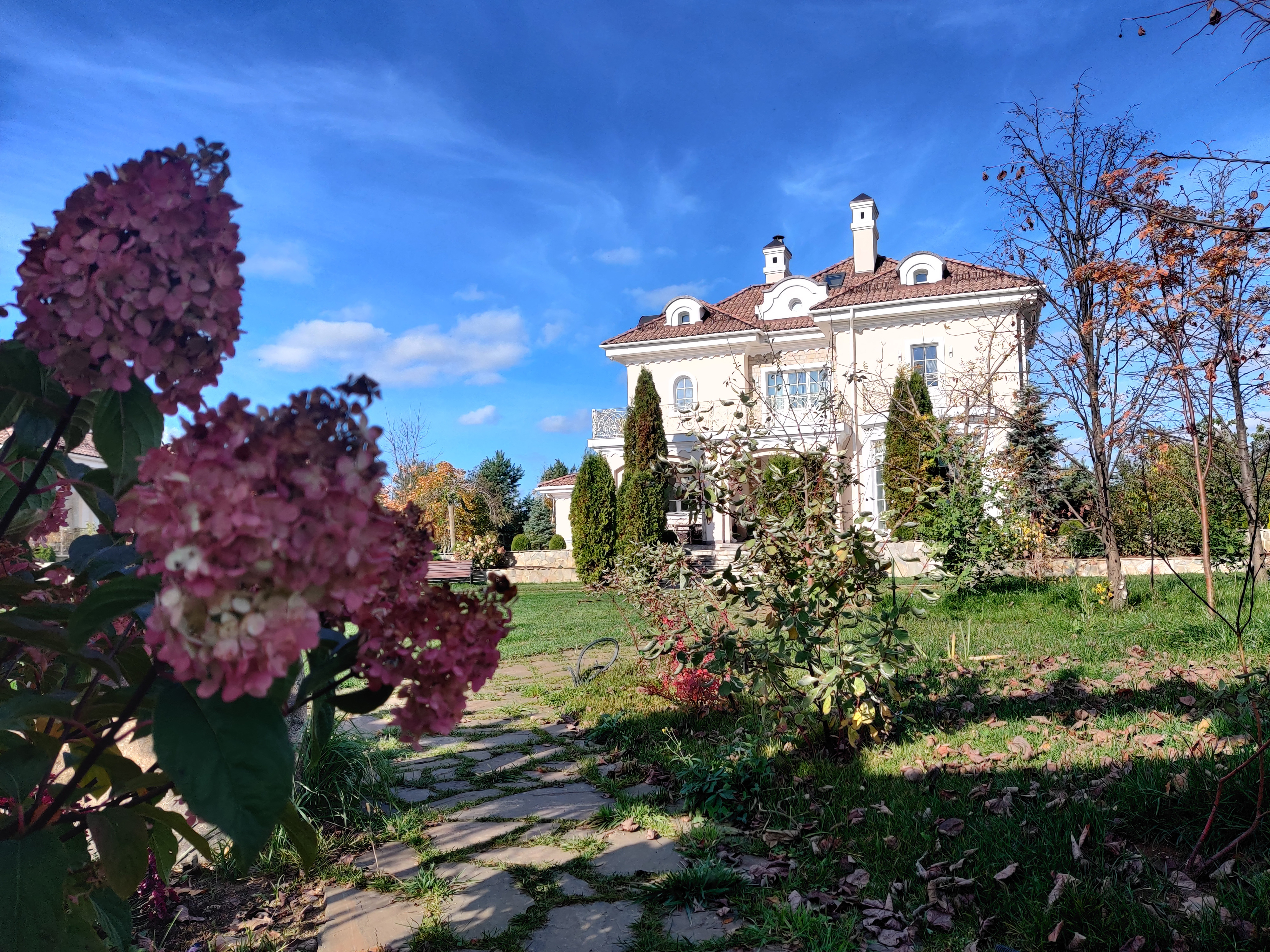 Проект Лужки