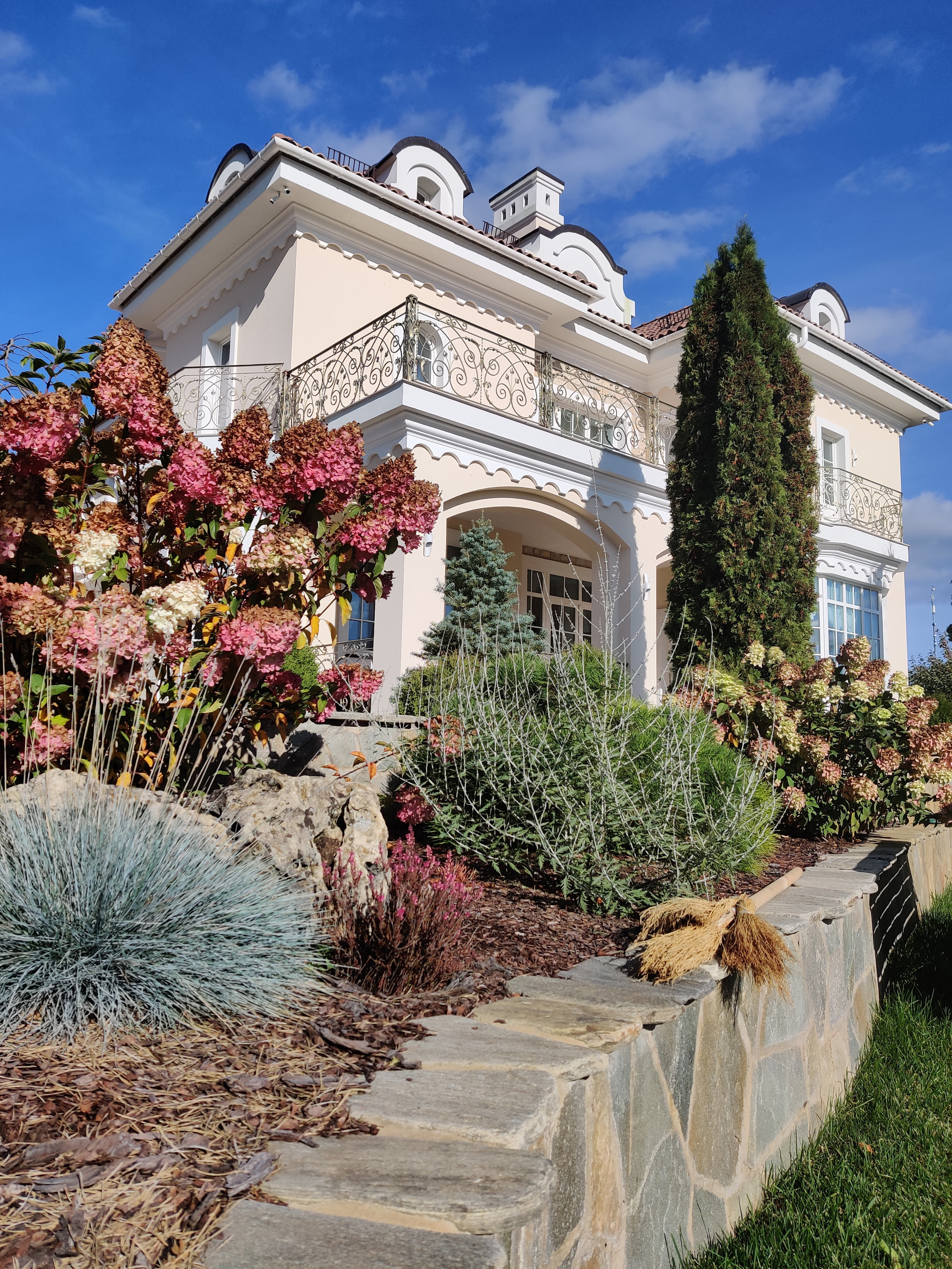 Проект Лужки