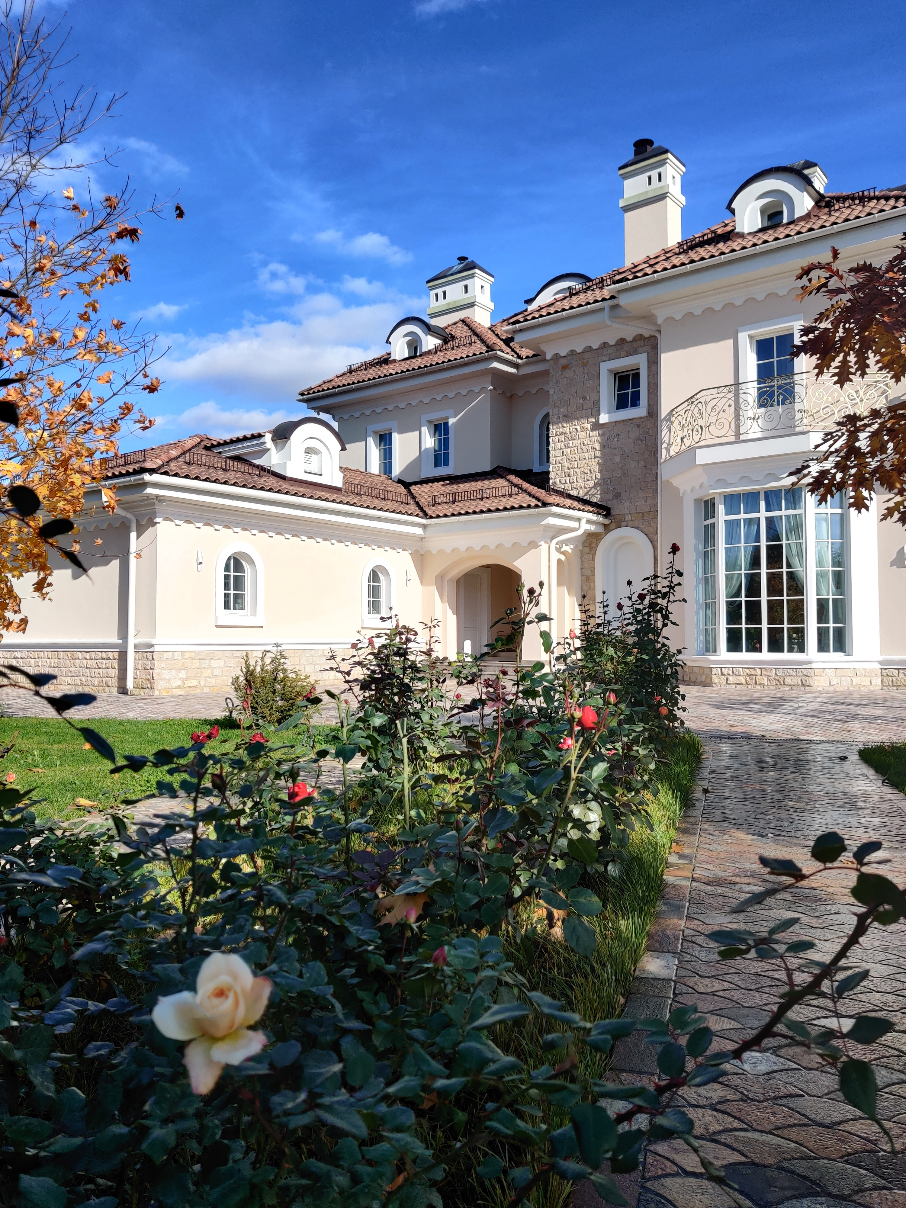 Проект Лужки