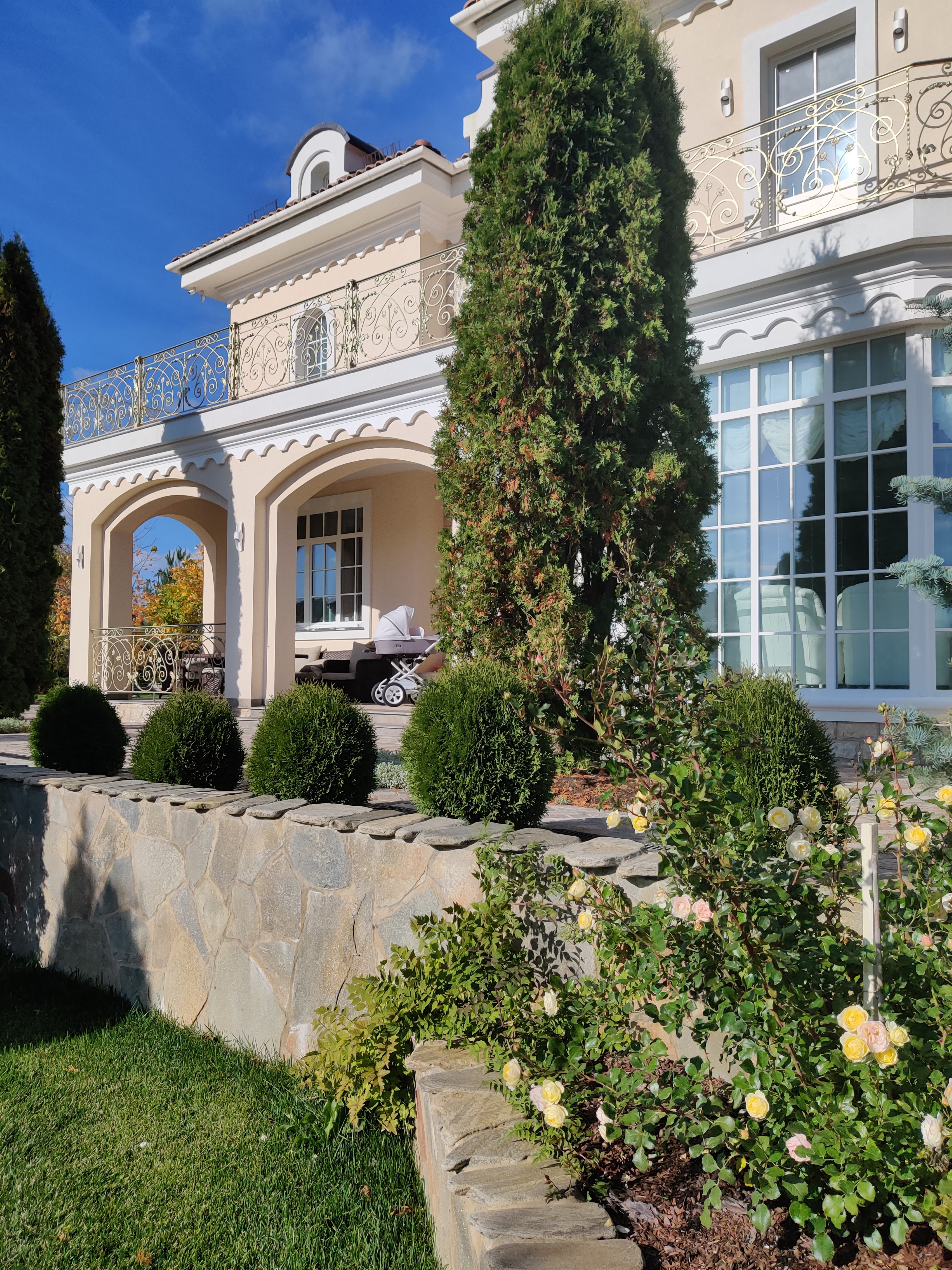 Проект Лужки