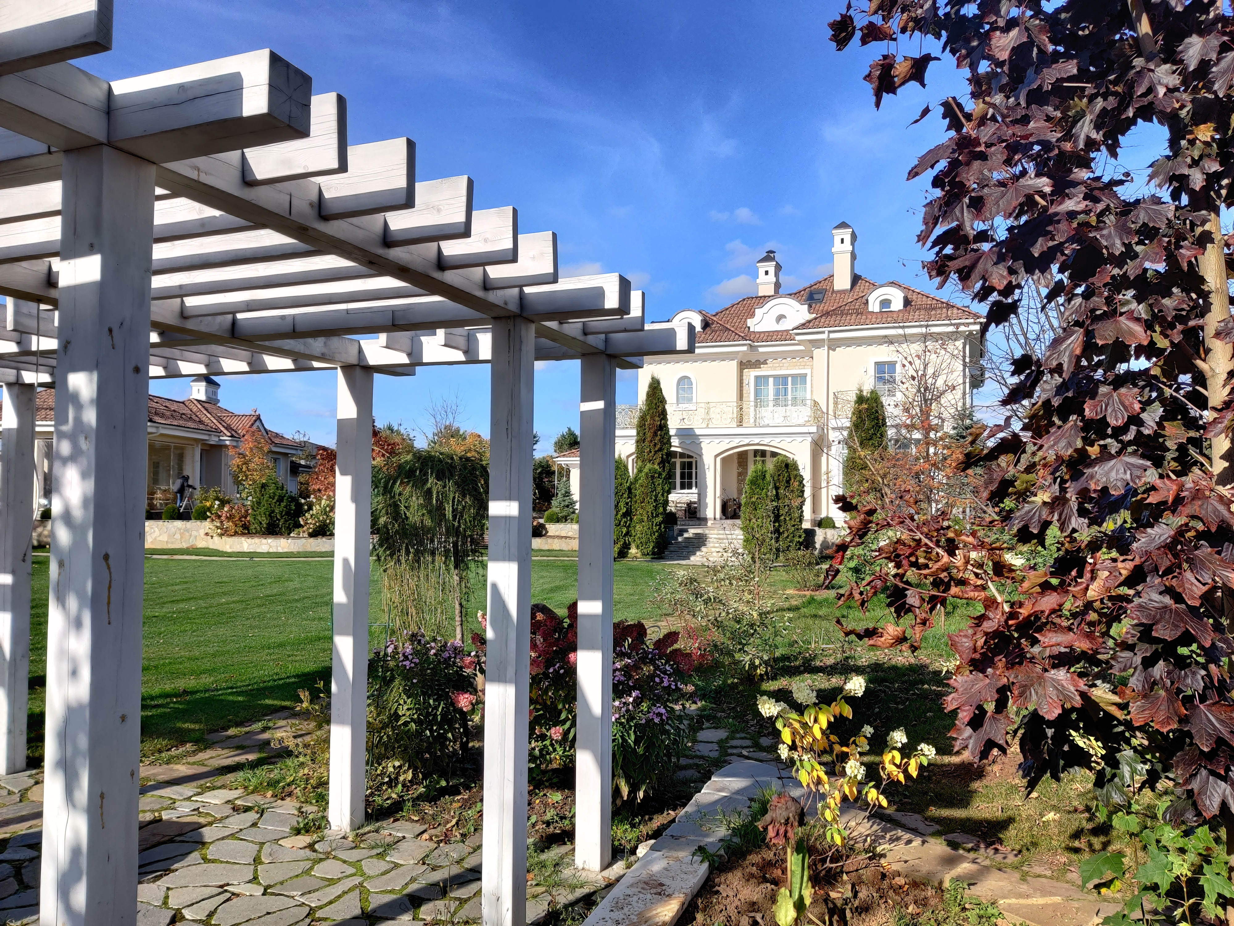 Проект Лужки