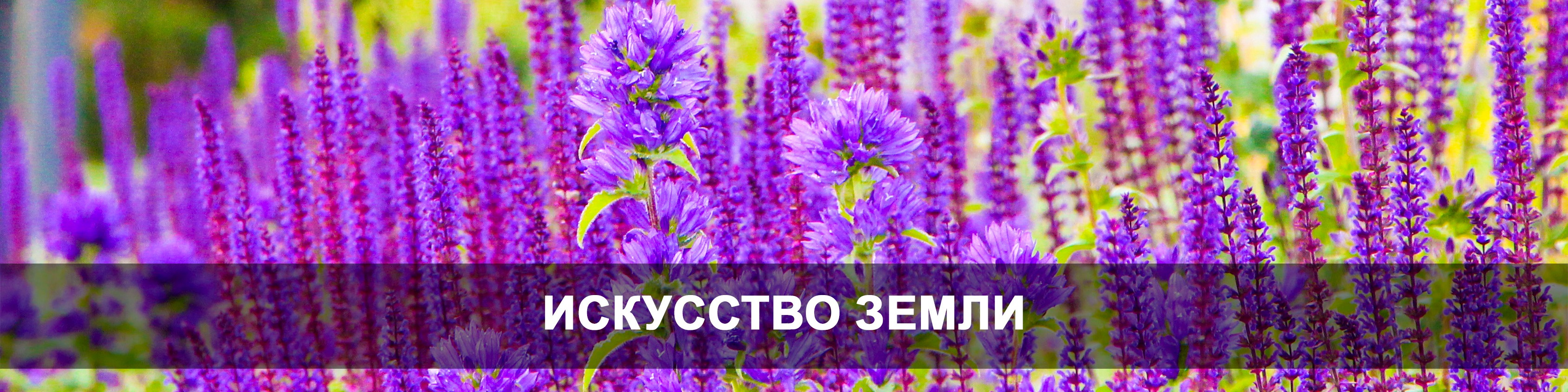 Владислав Потапов