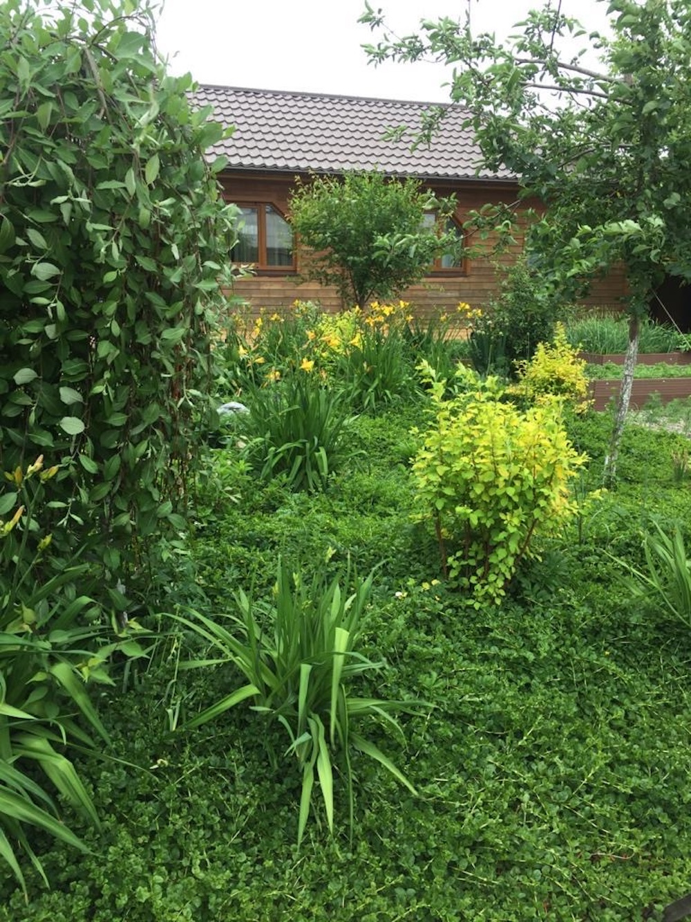 Зеленые насаждения