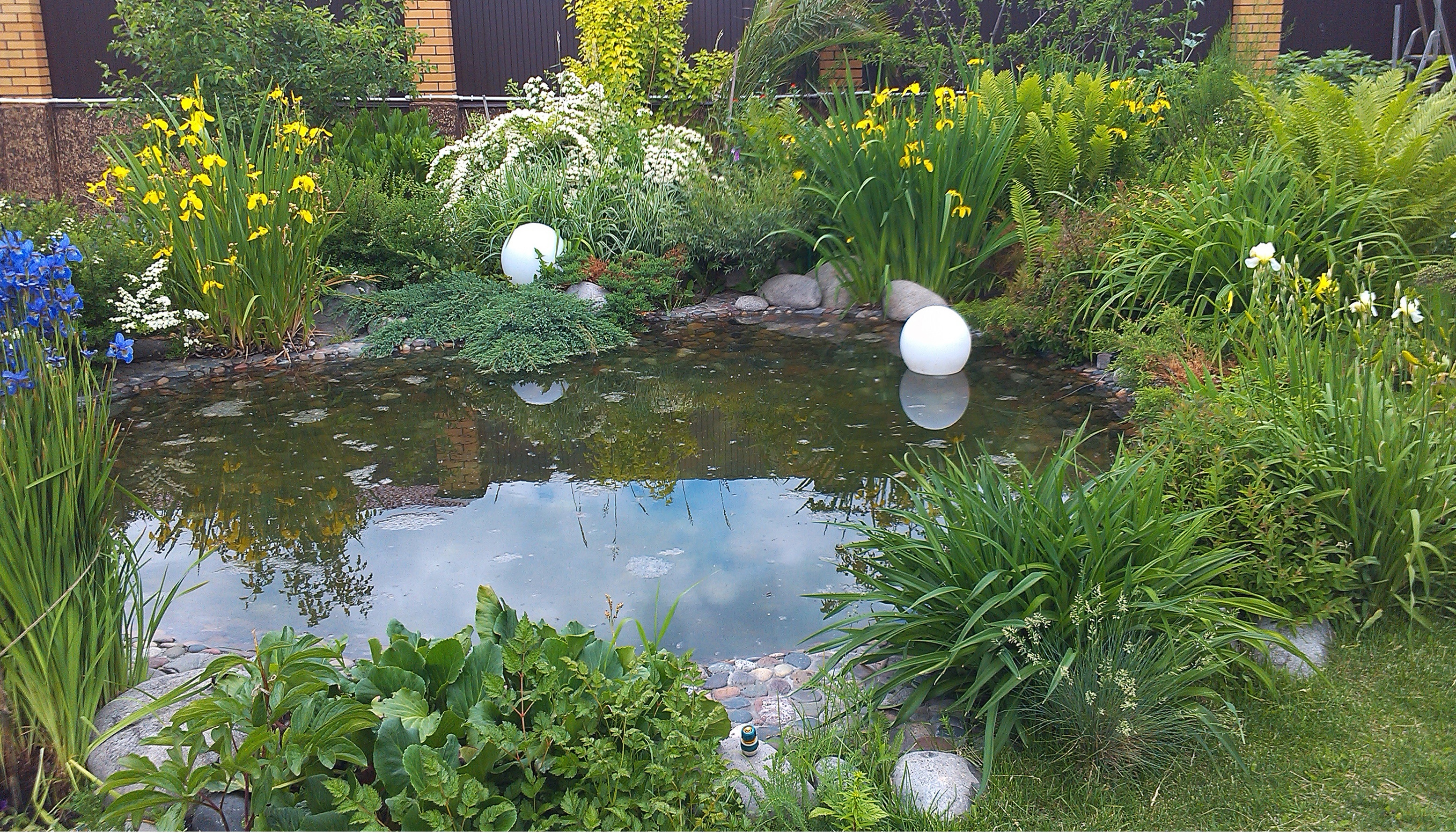 Водоемы. Рокарии.