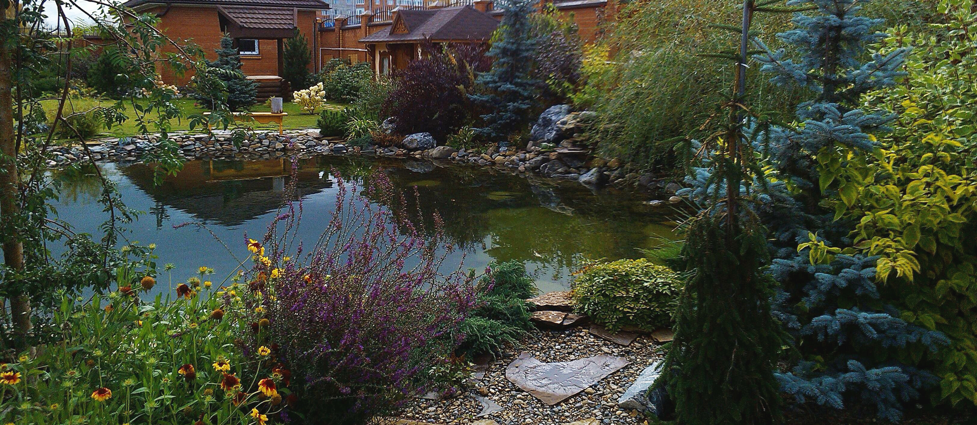 Водоемы. Рокарии.