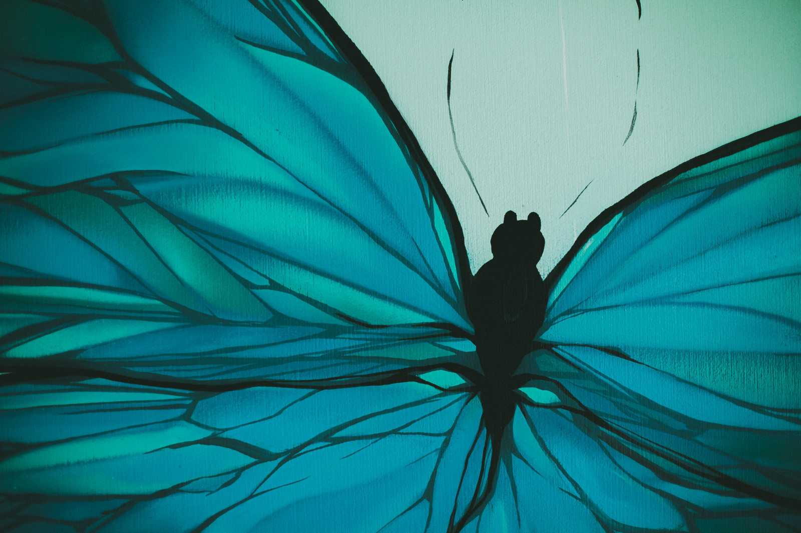 "Butterfly" in the bedroom