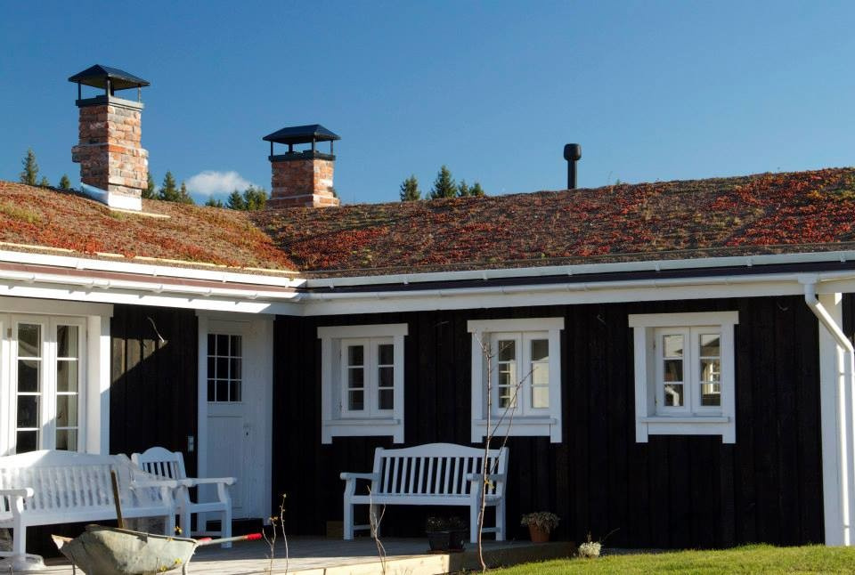 Обложка альбома: Скандинавский экстерьер